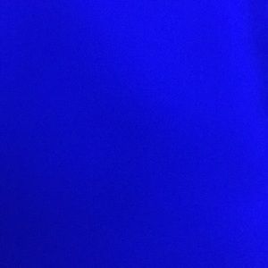 Meet your Posher, Giana